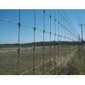 Filed fence